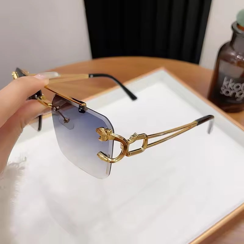 Luxury Cheetah Style Transition Photochromic Sunglasses